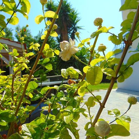 Villa Giovanni Faliraki Buitenkant foto
