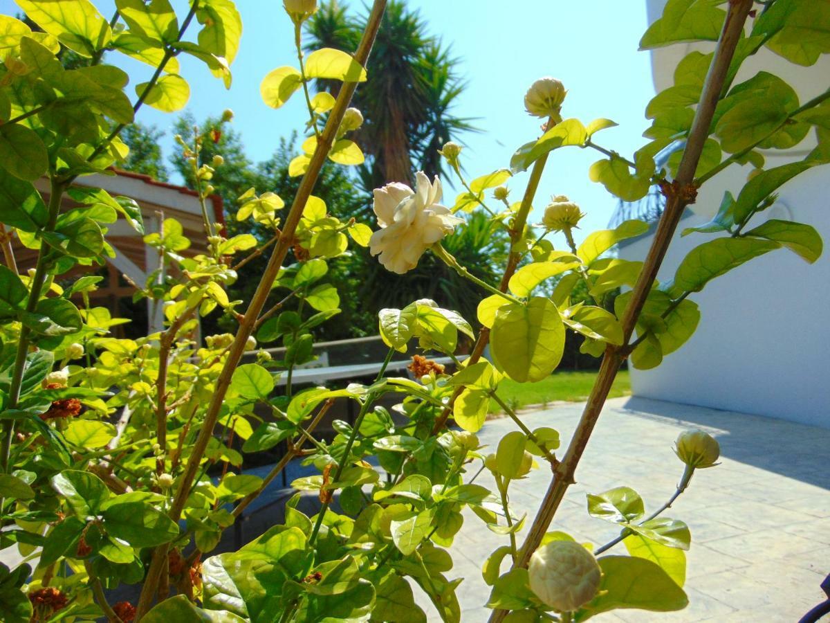 Villa Giovanni Faliraki Buitenkant foto